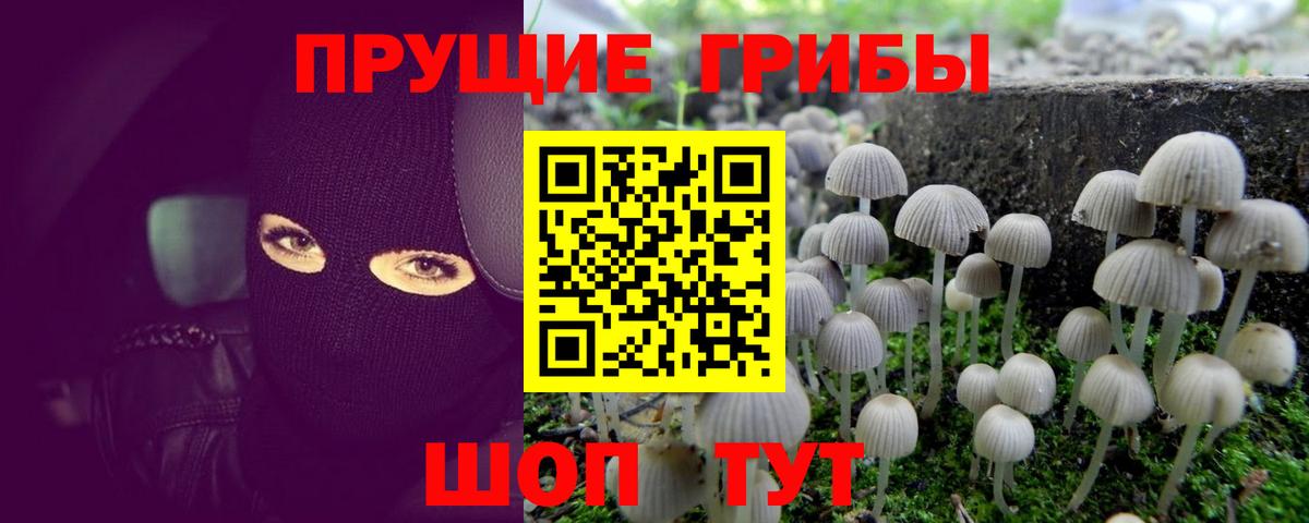 Псилоцибиновые грибы прущие грибы  Вход с VPN  Галлюциногенные грибы ЛСД  Строитель 